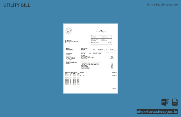 Beispiel für eine Stromrechnung von Dominica Electricity Services Limited (Vorschau)